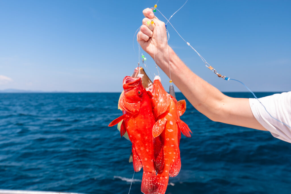 Racha Island Or Maiton Island (Bottom Fishing) - Nikorn Marine